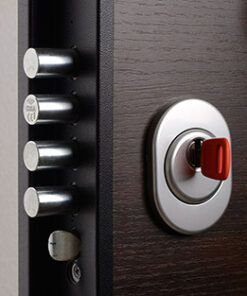 Gladia security door